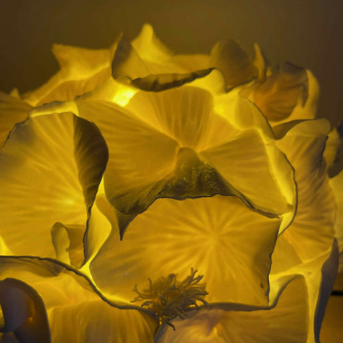 Lampe Sculpture Anthéa 4 | EMPREINTES Paris - EMPREINTES Paris