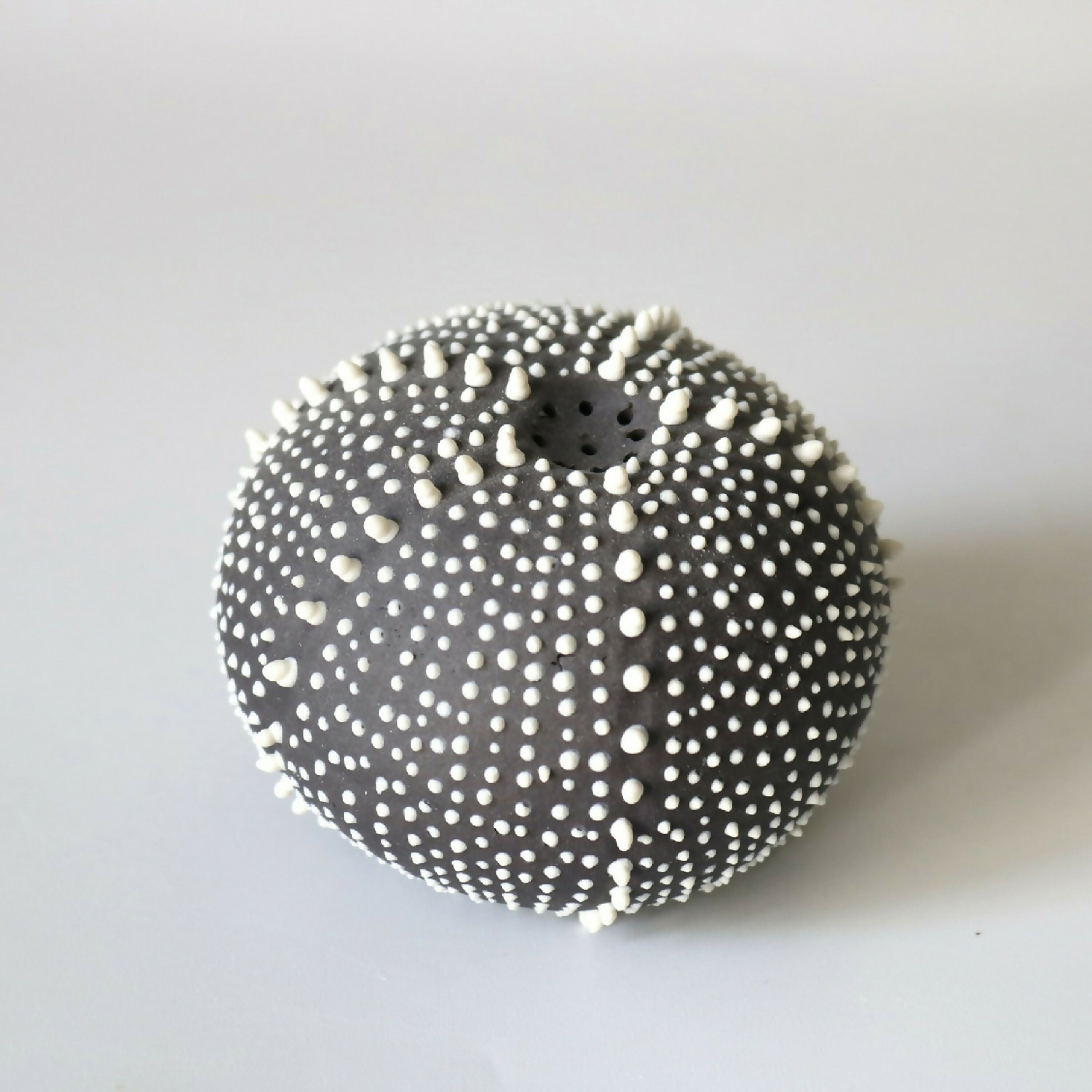 saliere_oursin_noire_et_blanche_en_gres_cglabsete copie | EMPREINTES Paris