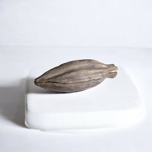 Boîte cabosse de cacao en grès | EMPREINTES Paris - EMPREINTES Paris