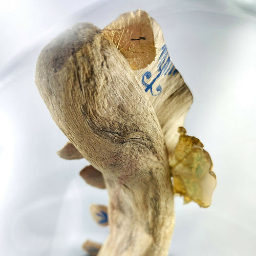 composition_trepied_creaturquoise copie | EMPREINTES Paris - EMPREINTES Paris