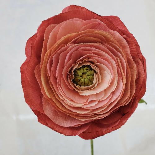 ARVhb7HuTQ | EMPREINTES Paris - EMPREINTES Paris