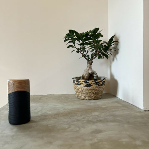 1REHYaxruR | EMPREINTES Paris - EMPREINTES Paris