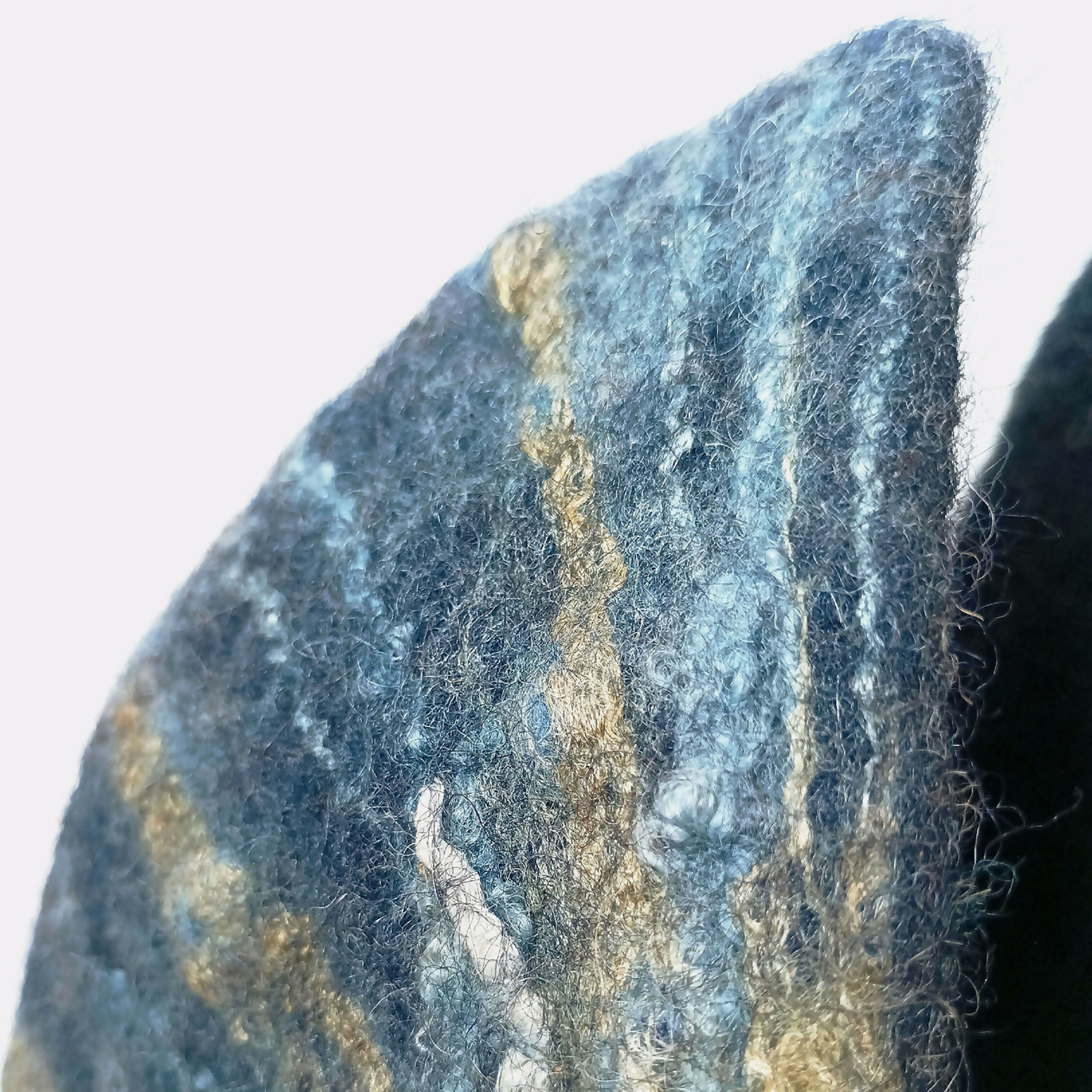 Sculpture Nautile feutre bleu Indigo et soie mordorée | EMPREINTES Paris