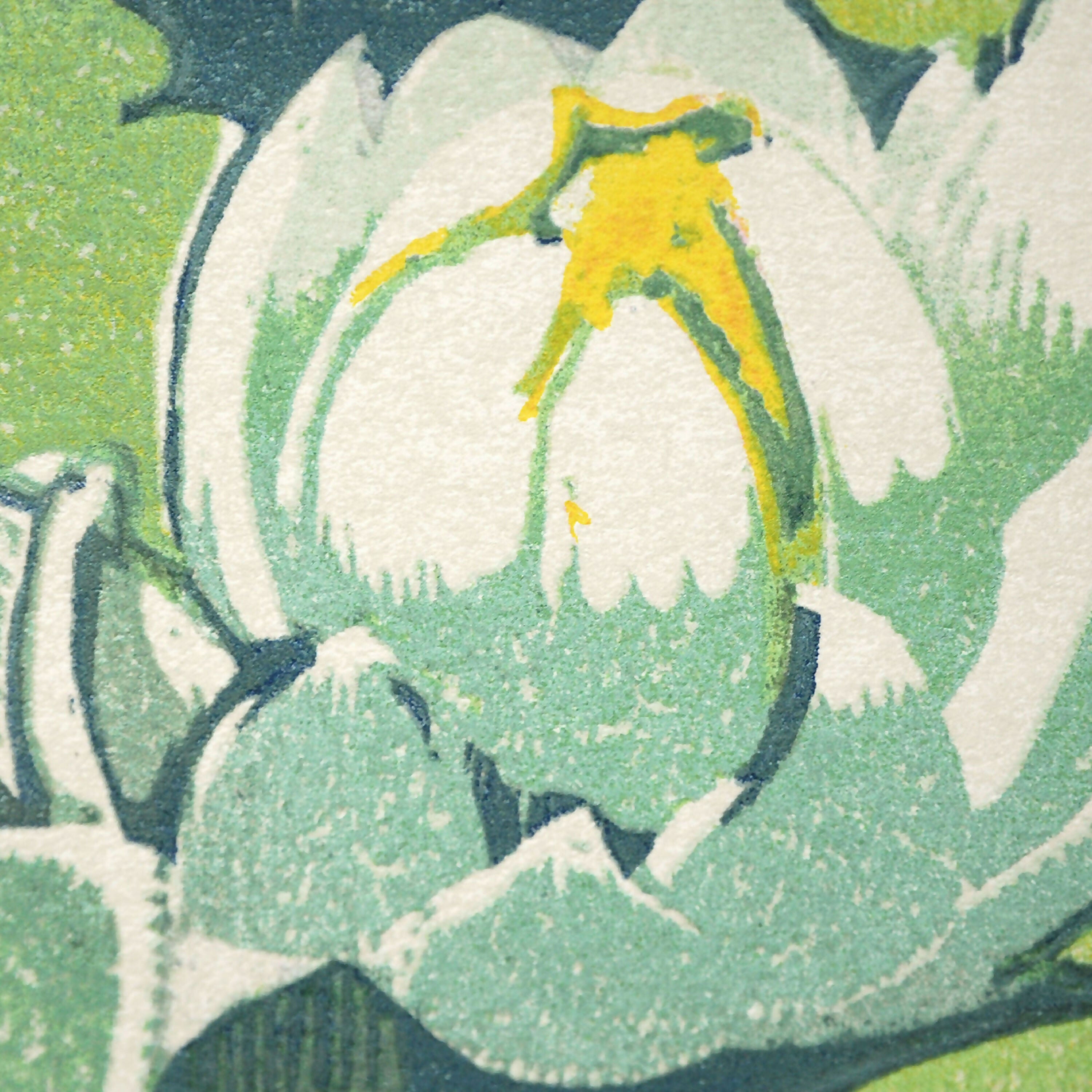 mabel_royds_water_lilies_serigraphie_le_trou_de_la_serrure copie | EMPREINTES Paris