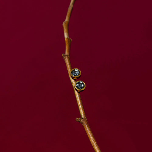 Boucles d'oreilles puces Stibine Or | EMPREINTES Paris - EMPREINTES Paris