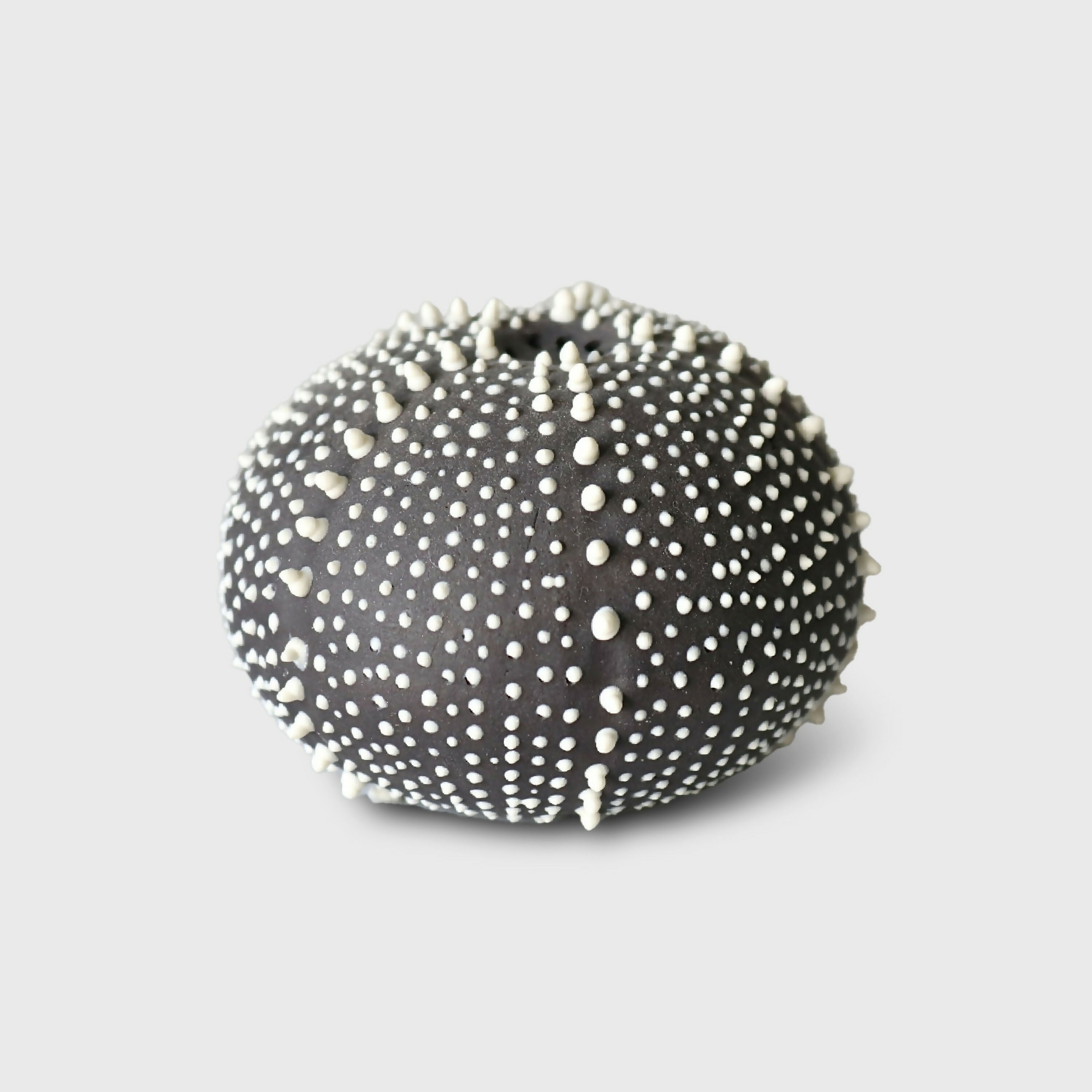 saliere_oursin_noire_et_blanche_en_gres_cglabsete copie | EMPREINTES Paris