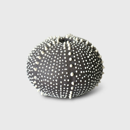 saliere_oursin_noire_et_blanche_en_gres_cglabsete copie | EMPREINTES Paris - EMPREINTES Paris