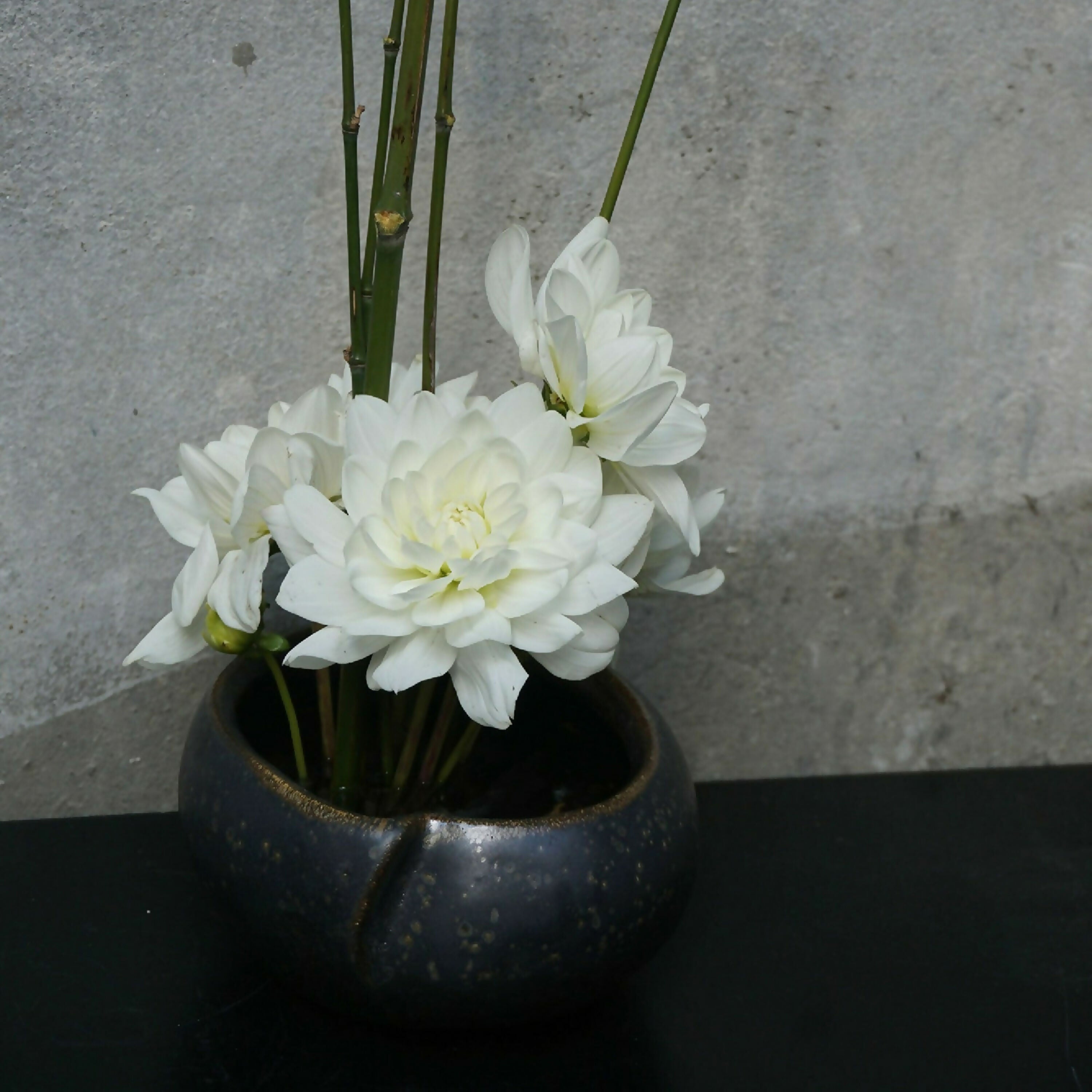 vase_sculpture_a_deux_ouvertures_comme_un_marron_terre_denvies copie | EMPREINTES Paris