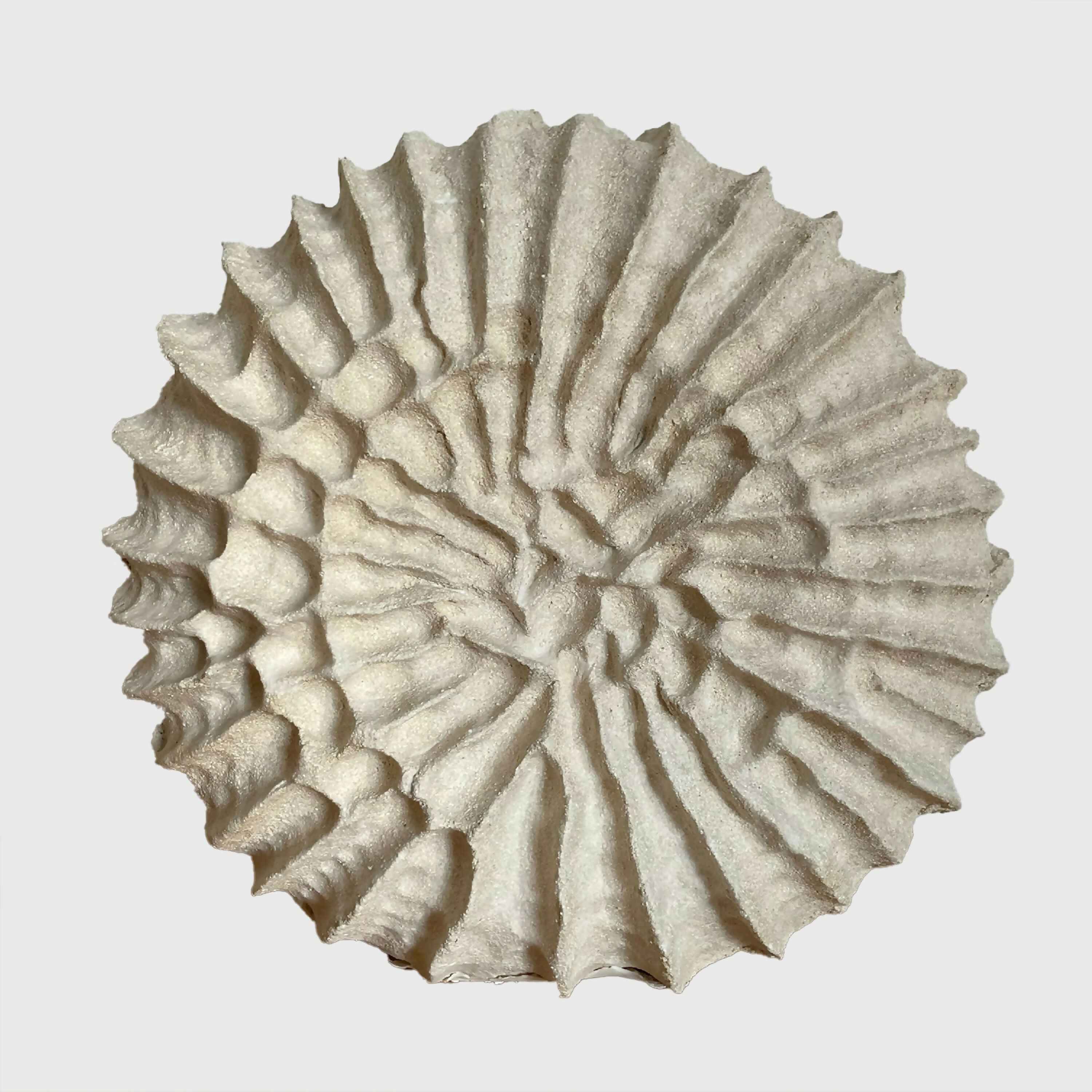 Sculpture Fossilis 2 | EMPREINTES Paris