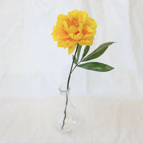 hqNr88FtUw | EMPREINTES Paris - EMPREINTES Paris