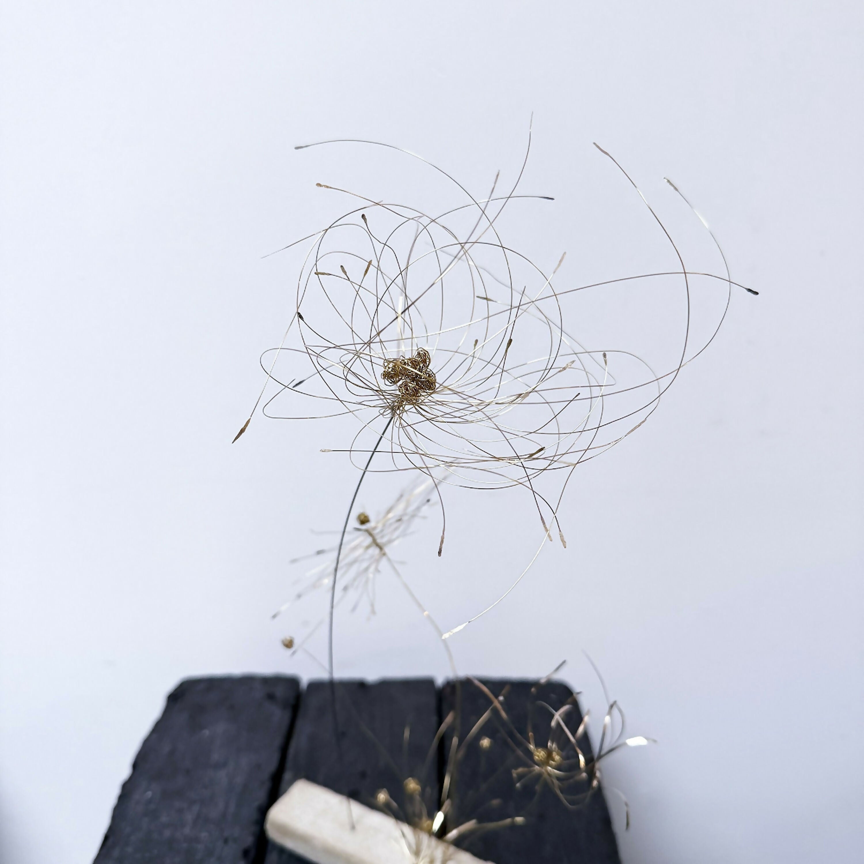 Sculpture La poésie des pissenlits | EMPREINTES Paris