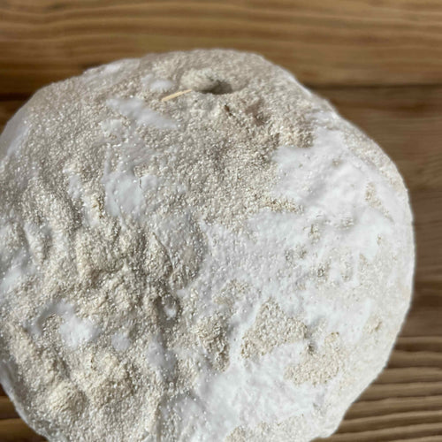 sculpture_meteor_3_anne_sophie_boulogne copie | EMPREINTES Paris - EMPREINTES Paris