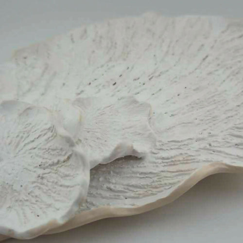 plateau_decoratif_en_porcelaine_papie_fleur_de_lune_atelier_coccinelle copie | EMPREINTES Paris - EMPREINTES Paris