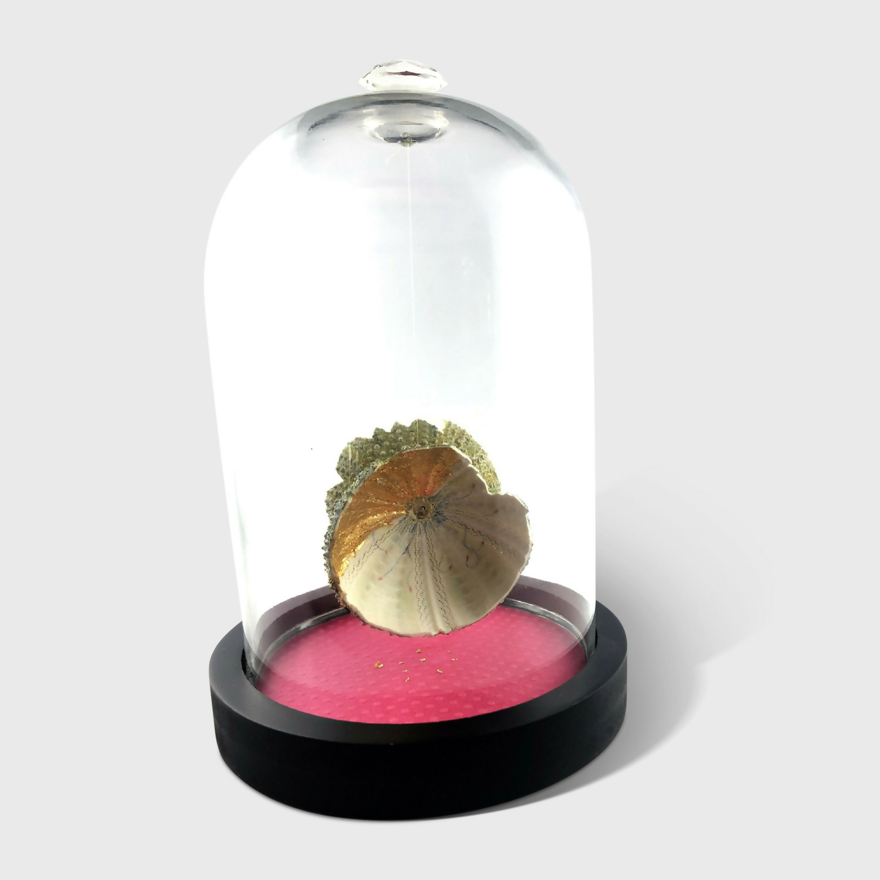 Composition Pavillons | EMPREINTES Paris