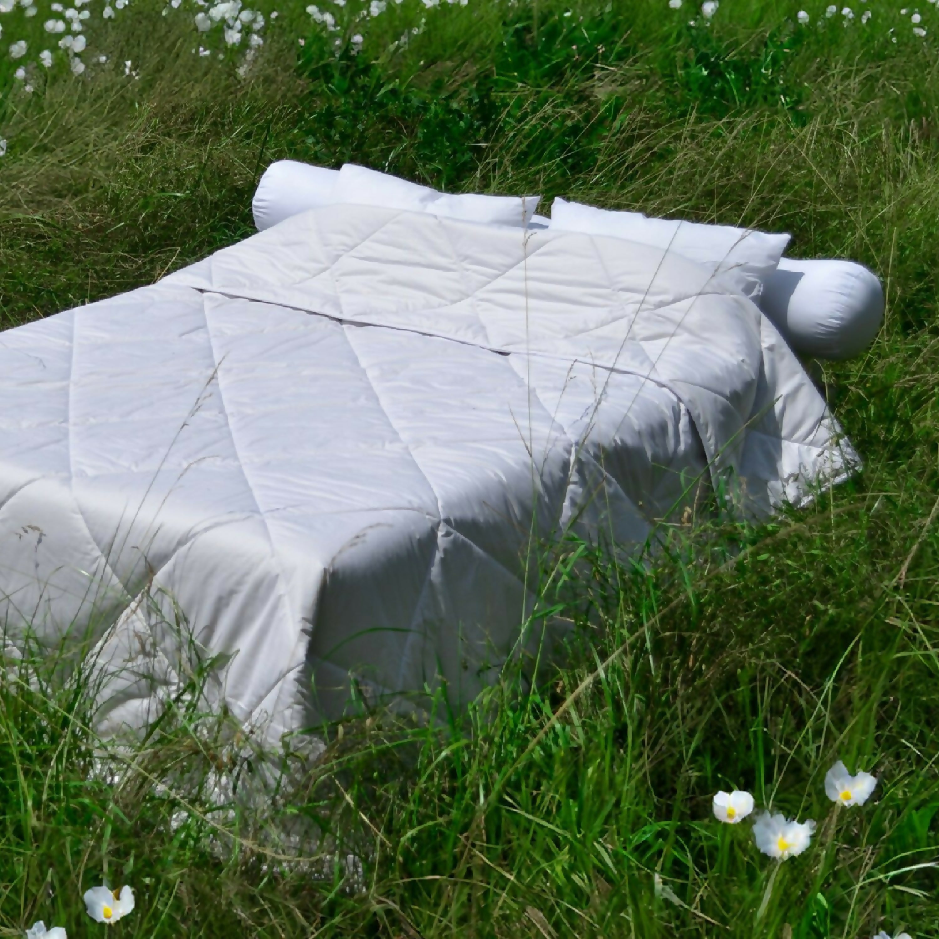 WyO5w74w1a | EMPREINTES Paris