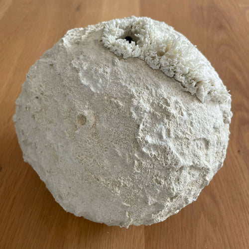 Sculpture Palingensia | EMPREINTES Paris - EMPREINTES Paris