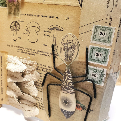 Sculpture papier Petit cabinet de curiosité | EMPREINTES Paris - EMPREINTES Paris