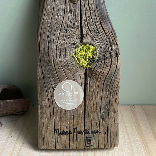 tableau_bois_mosaique_lichen_cupules_musea_mosaique copie | EMPREINTES Paris - EMPREINTES Paris