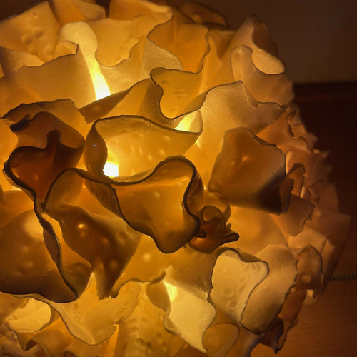 Lampe Sculpture Coralia 1 | EMPREINTES Paris - EMPREINTES Paris