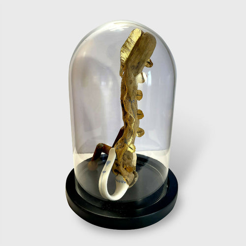 composition_trepied_creaturquoise copie | EMPREINTES Paris - EMPREINTES Paris