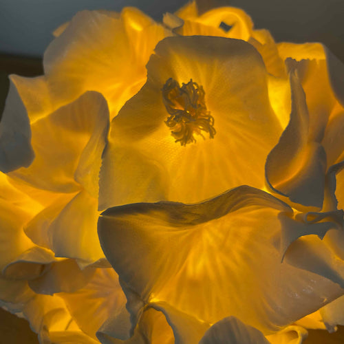 Lampe sculpture Anthéa 2 | EMPREINTES Paris - EMPREINTES Paris