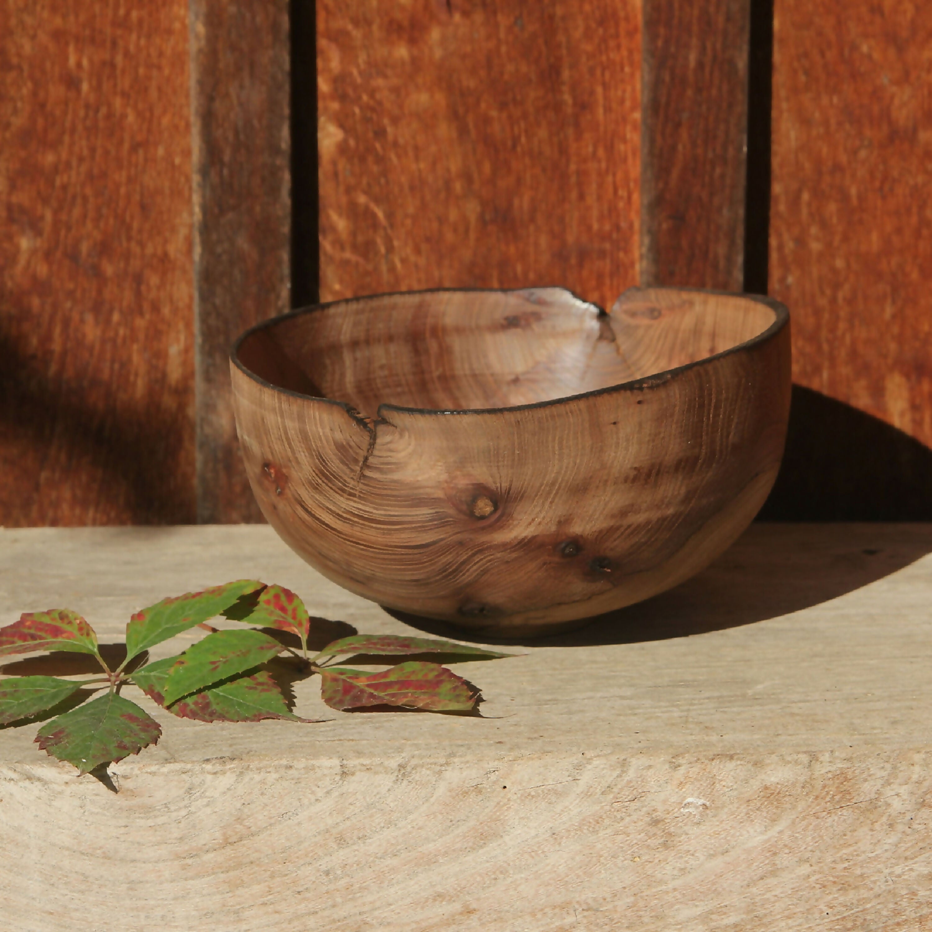 Bol en orme - Collection bois vert | EMPREINTES Paris