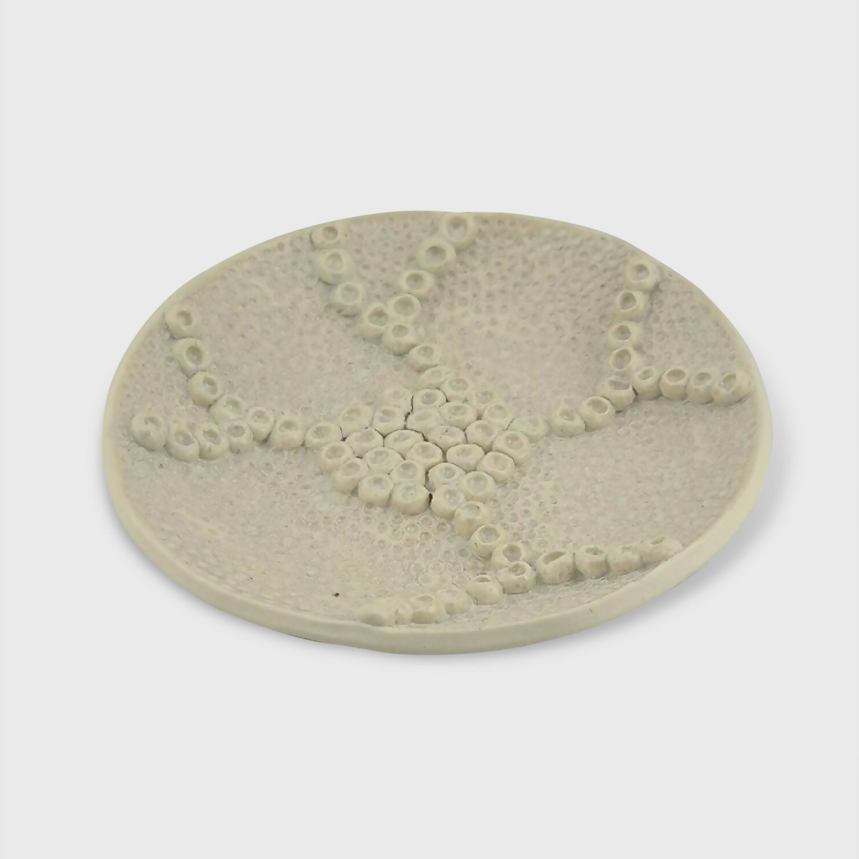 plat_en_porcelaine_collection_corail_atelier_coccinelle copie | EMPREINTES Paris
