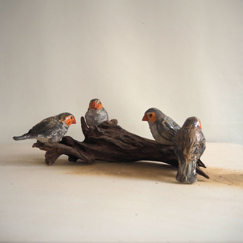 sculpture_quatre_astrilds_sur_bois_brule_marie_helene_valladeh copie | EMPREINTES Paris - EMPREINTES Paris