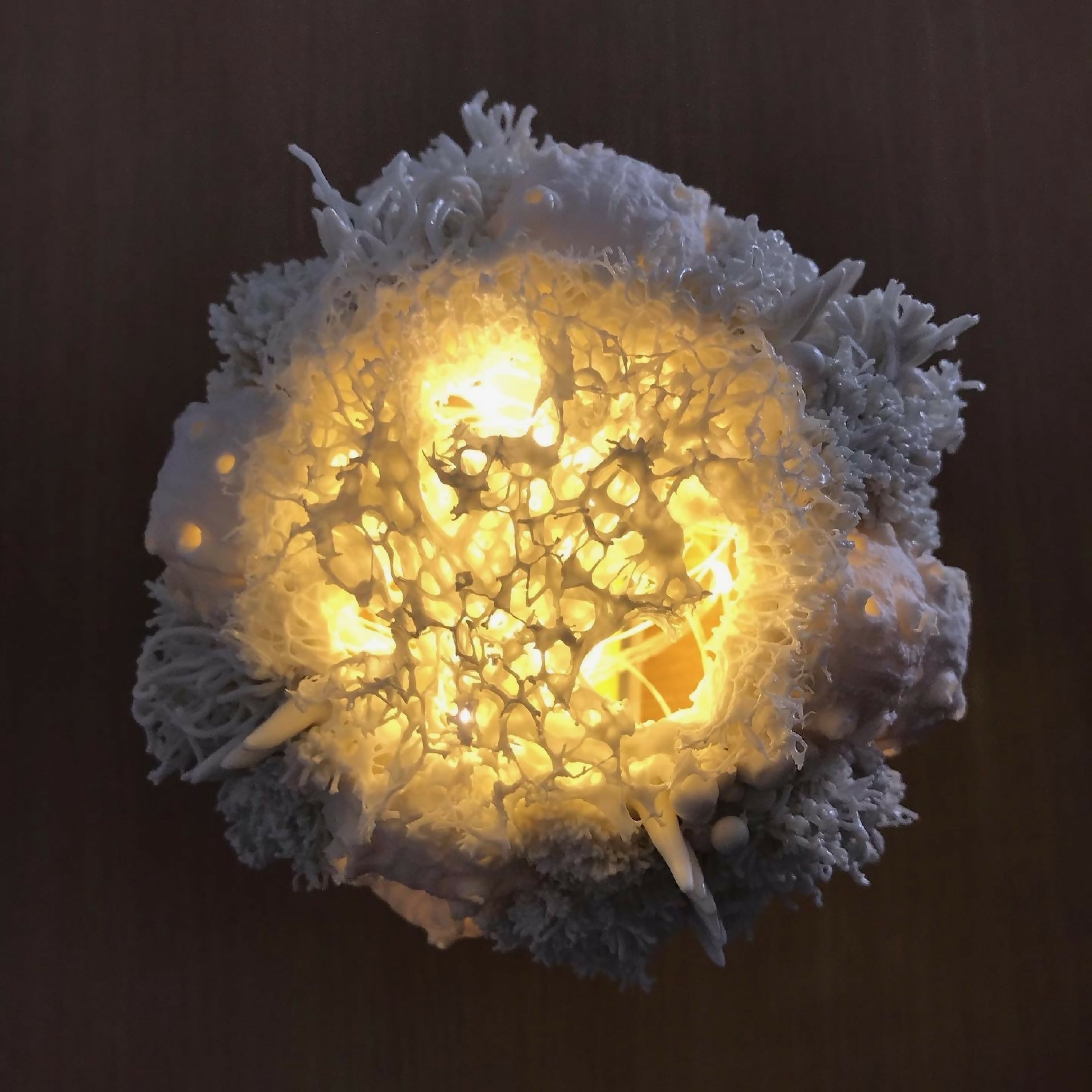 FNIJJ5mK1P | EMPREINTES Paris