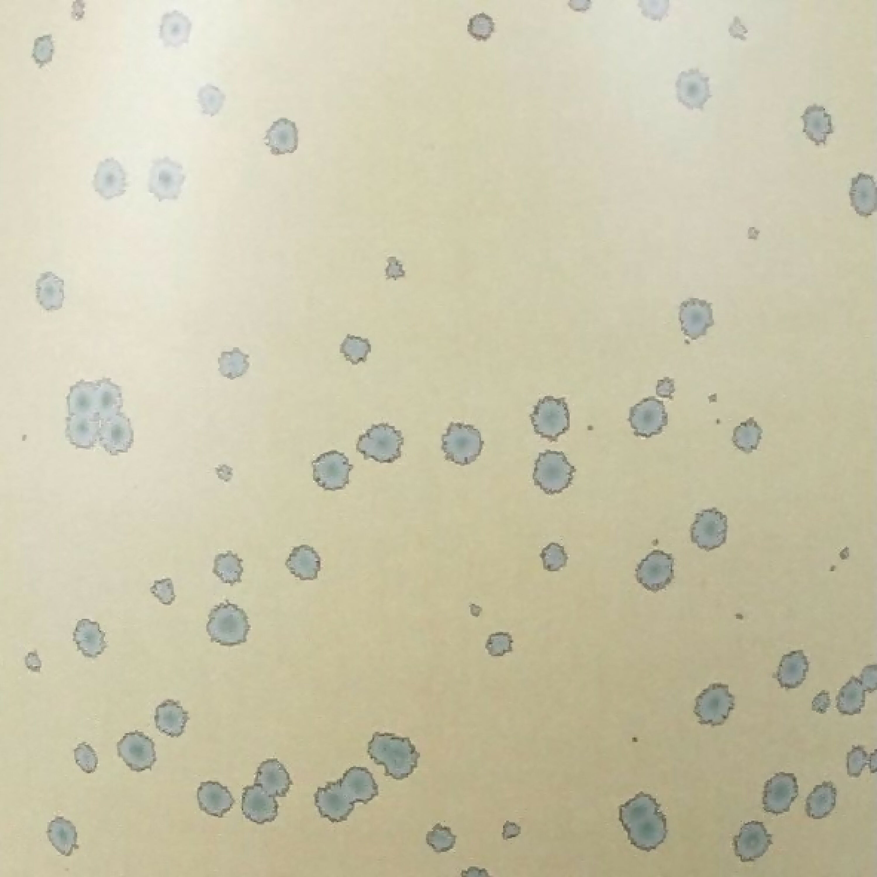 vase_28_ceramiques_atelier_ma copie | EMPREINTES Paris