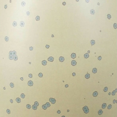 vase_28_ceramiques_atelier_ma copie | EMPREINTES Paris - EMPREINTES Paris