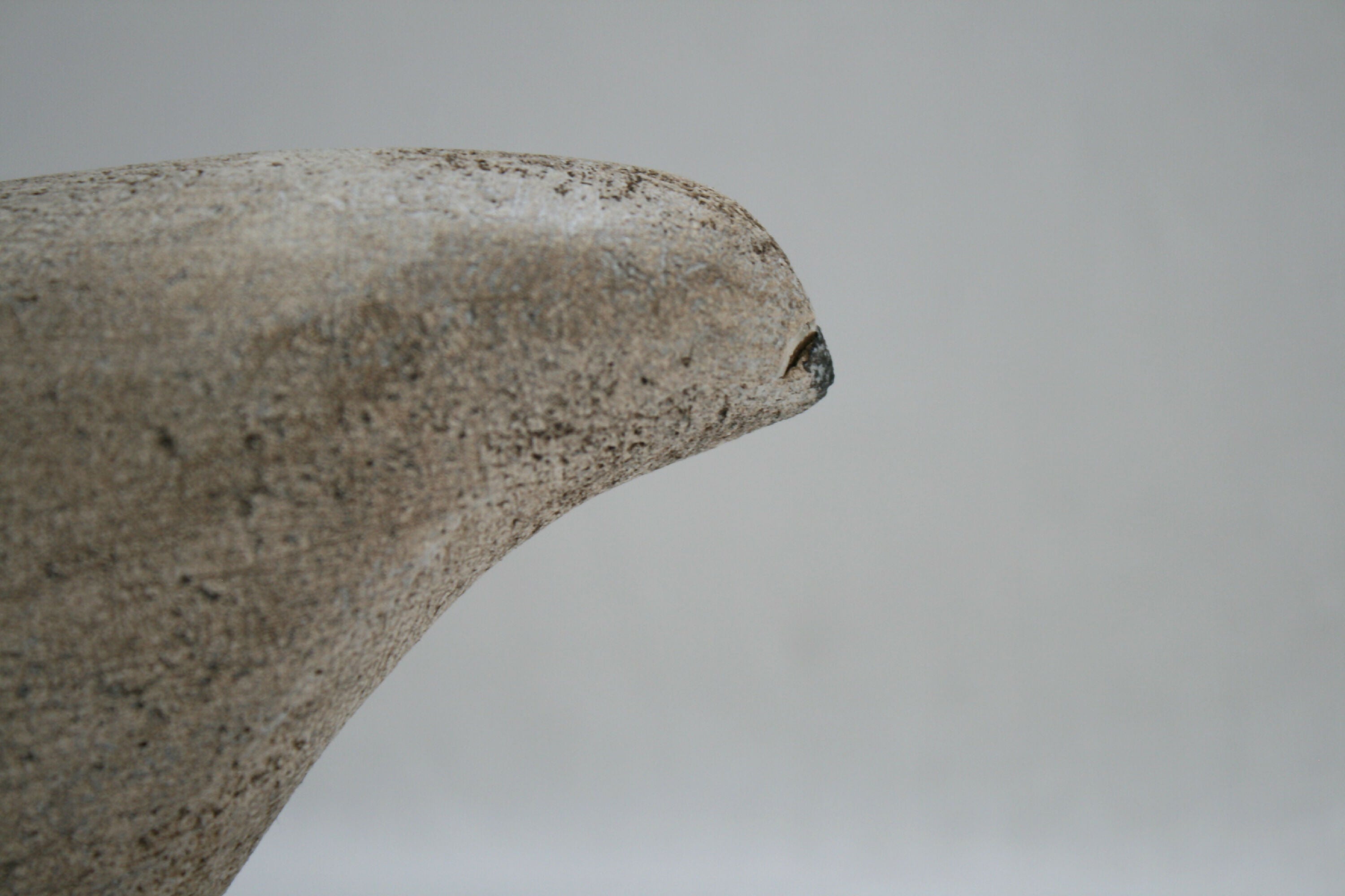 Oiseau manga épuré a11 | EMPREINTES Paris