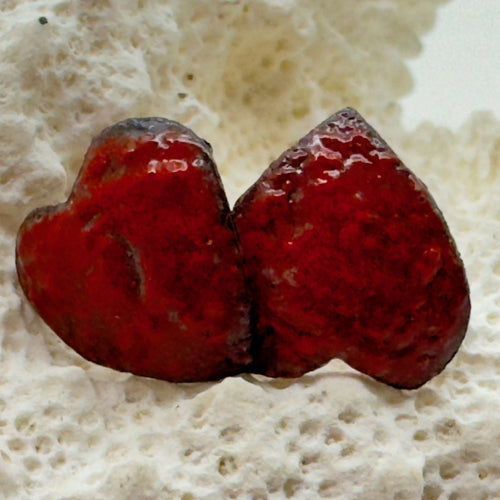 boucles_doreilles_les_amants_ferals_emaux_emoi copie | EMPREINTES Paris - EMPREINTES Paris