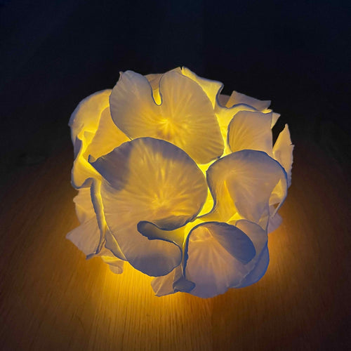 Sculpture lumineuse Anthéa 1 | EMPREINTES Paris - EMPREINTES Paris