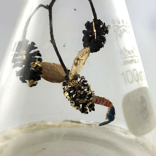 composition_sablier_creaturquoise | EMPREINTES Paris - EMPREINTES Paris