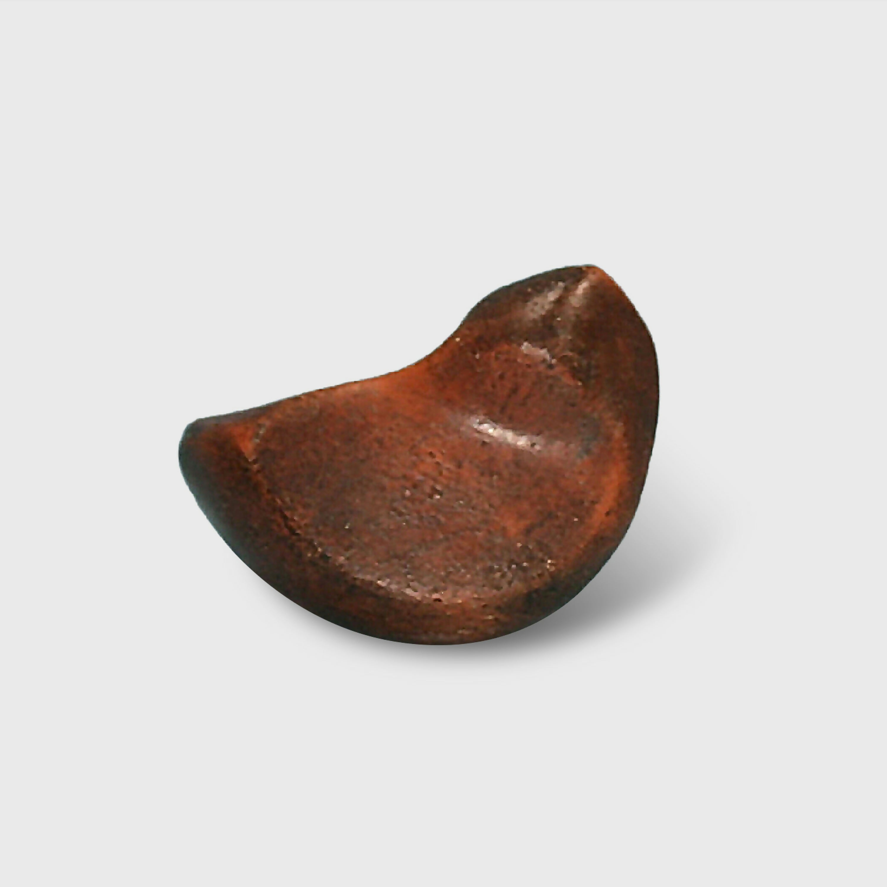 sculpture_oiseau_des_airs_fen_1_atelier_isabelle_motte_sculpture_peinture_et_curiosites copie | EMPREINTES Paris