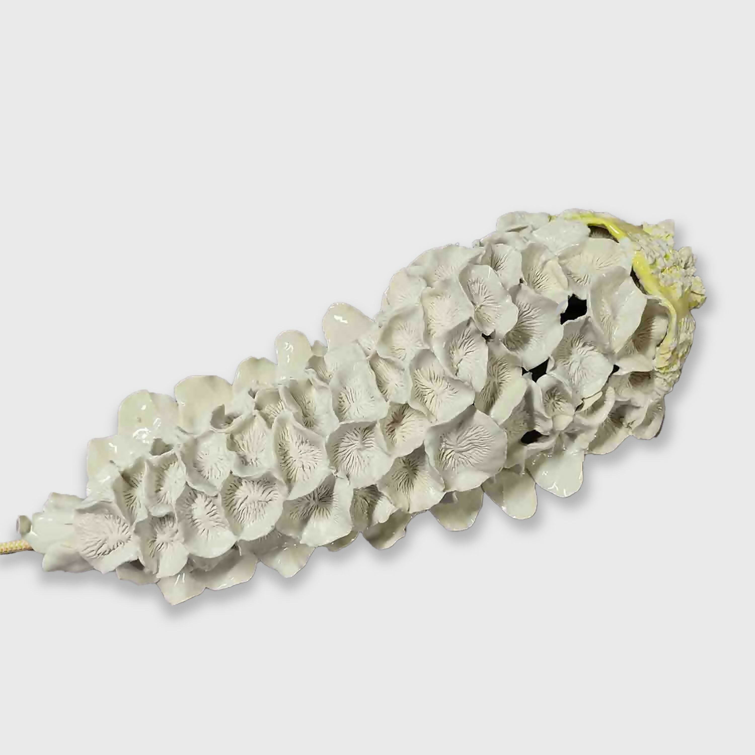 applique_lumineuse_champignon_des_mer_sophie_luline_ceramiste copie | EMPREINTES Paris