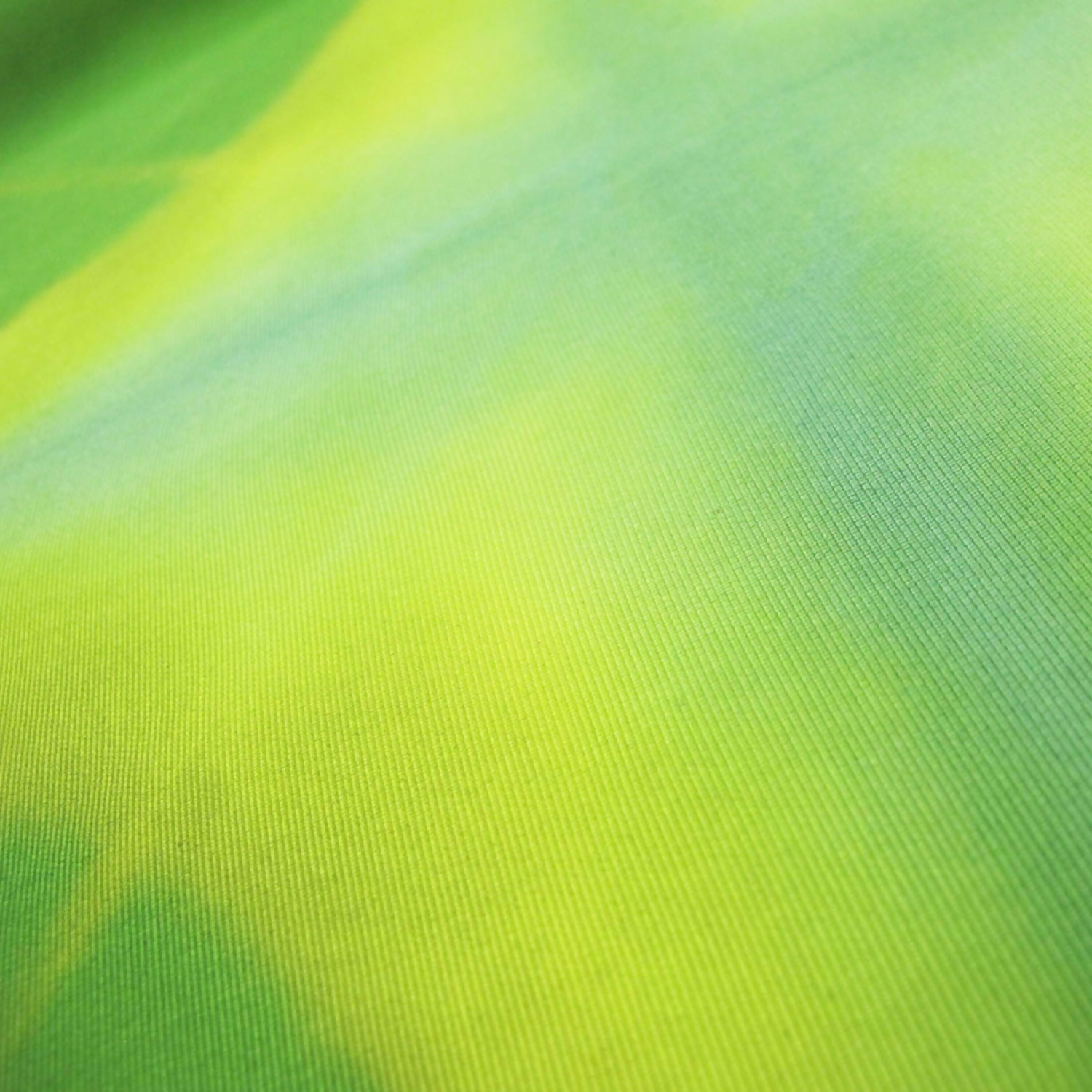 carre_140_ottoitapla_008_sophie_guyot_soieries copie | EMPREINTES Paris