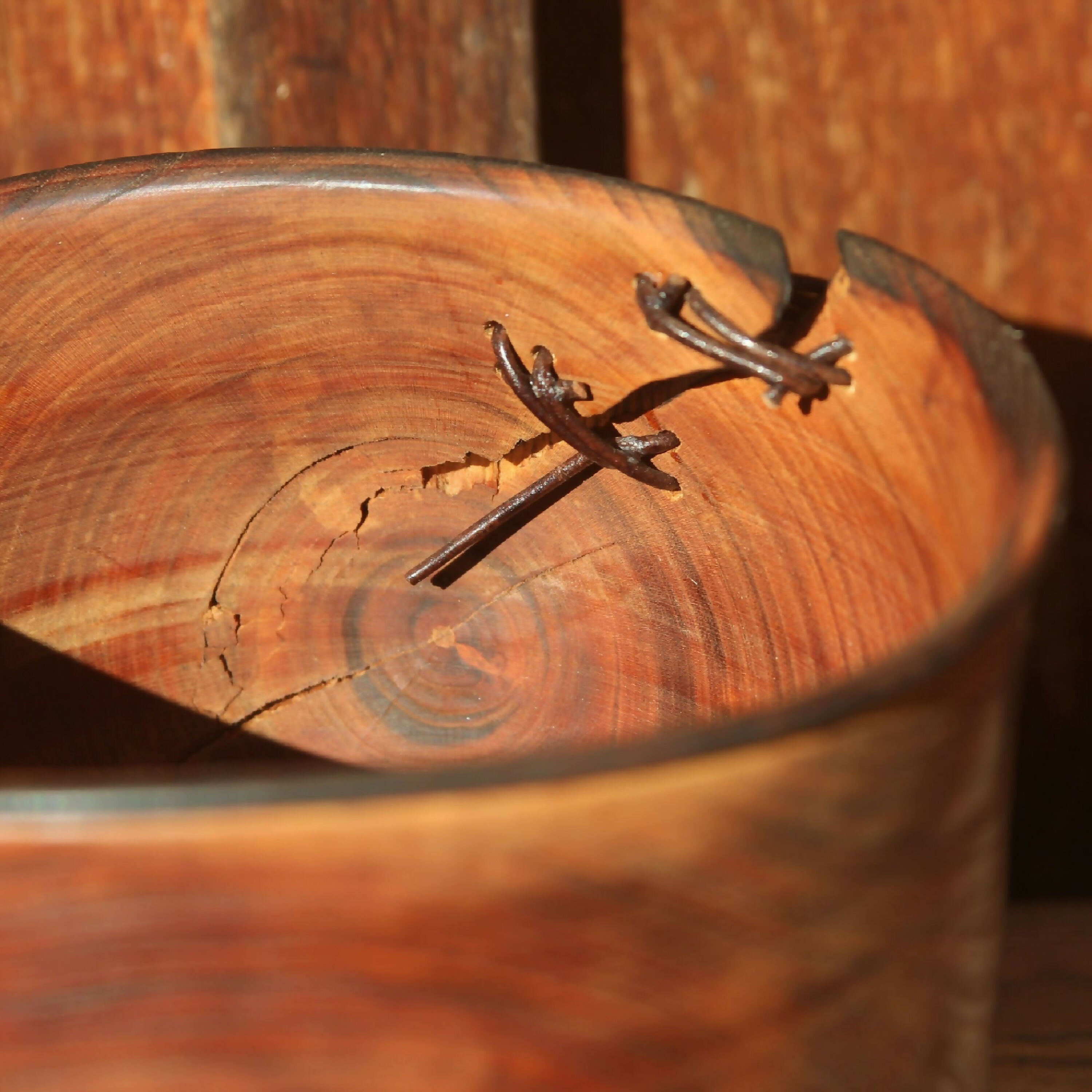 Pot en cerisier - Collection bois vert | EMPREINTES Paris