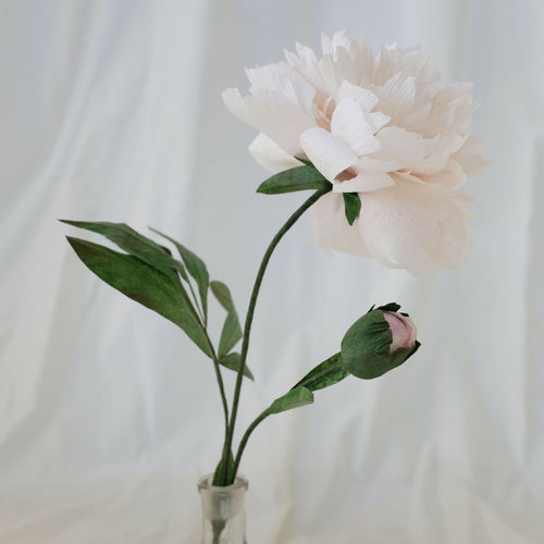 Pivoine blanche en papier | EMPREINTES Paris - EMPREINTES Paris