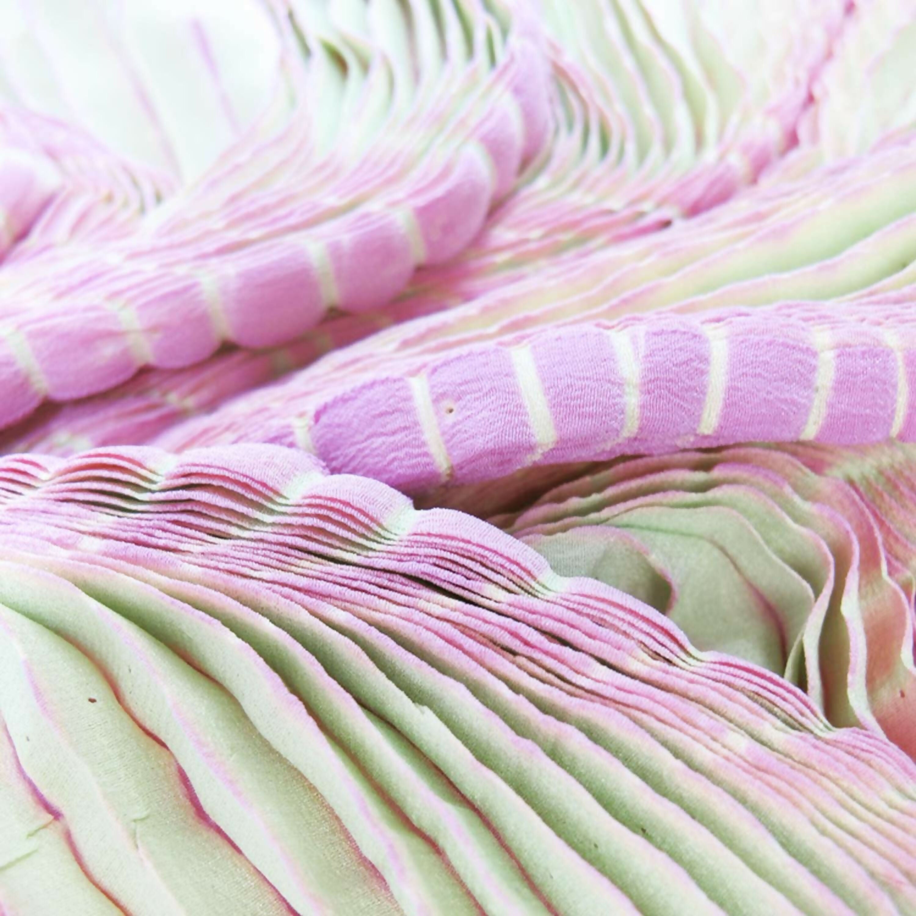 longue_echarpe_plicacrepe_013_sophie_guyot_soieries copie | EMPREINTES Paris