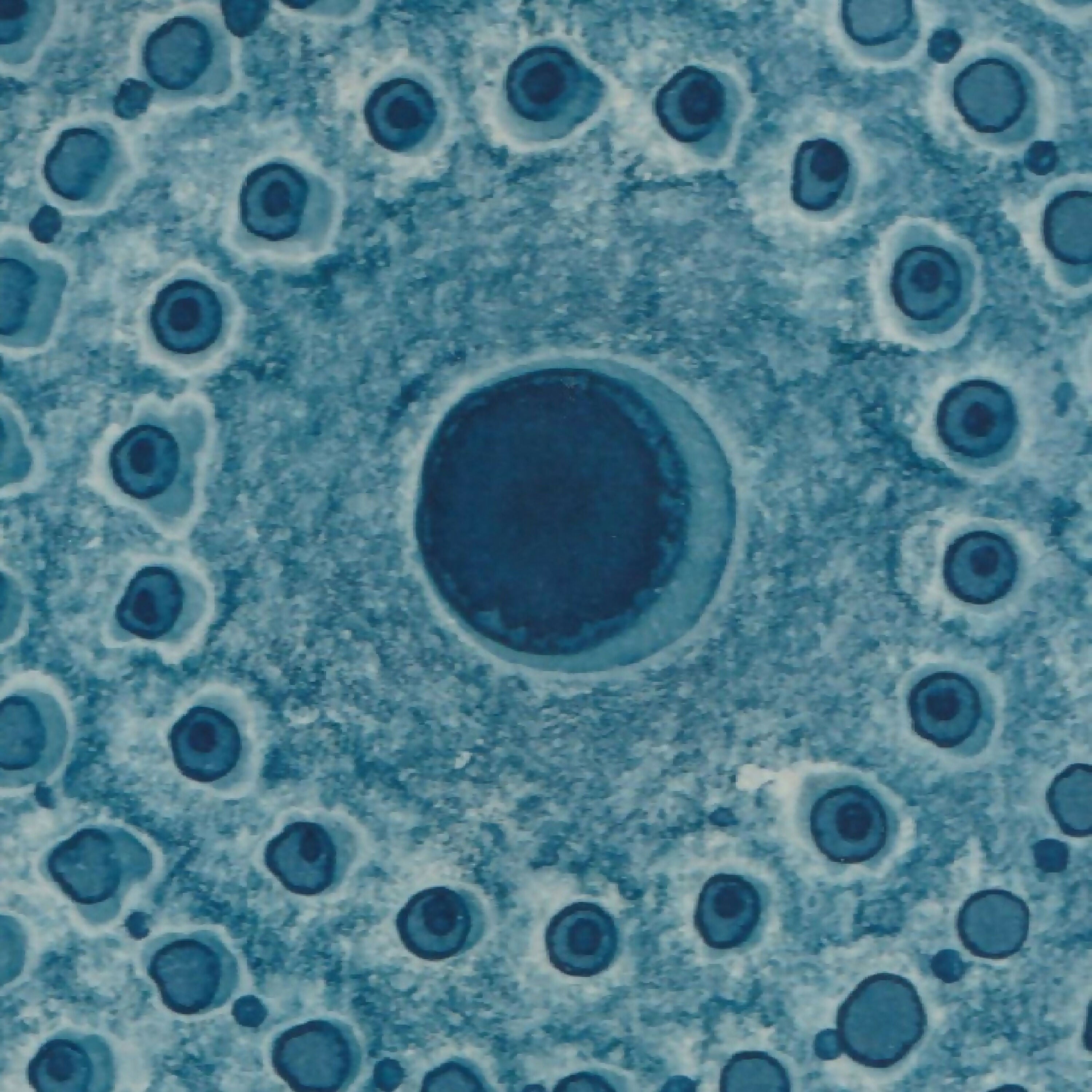 9W0AGrhVCS | EMPREINTES Paris