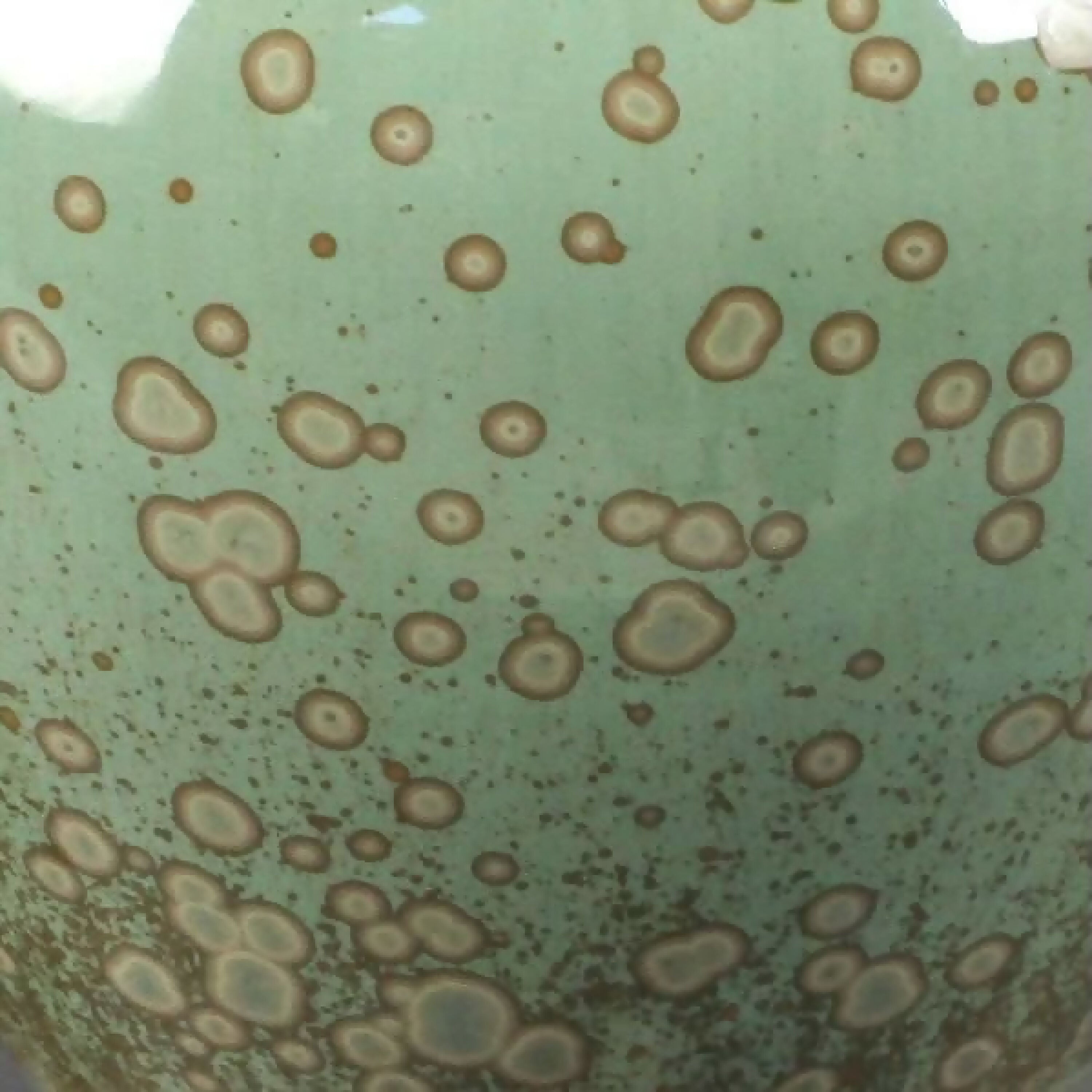 vase_20_ceramiques_atelier_ma copie | EMPREINTES Paris