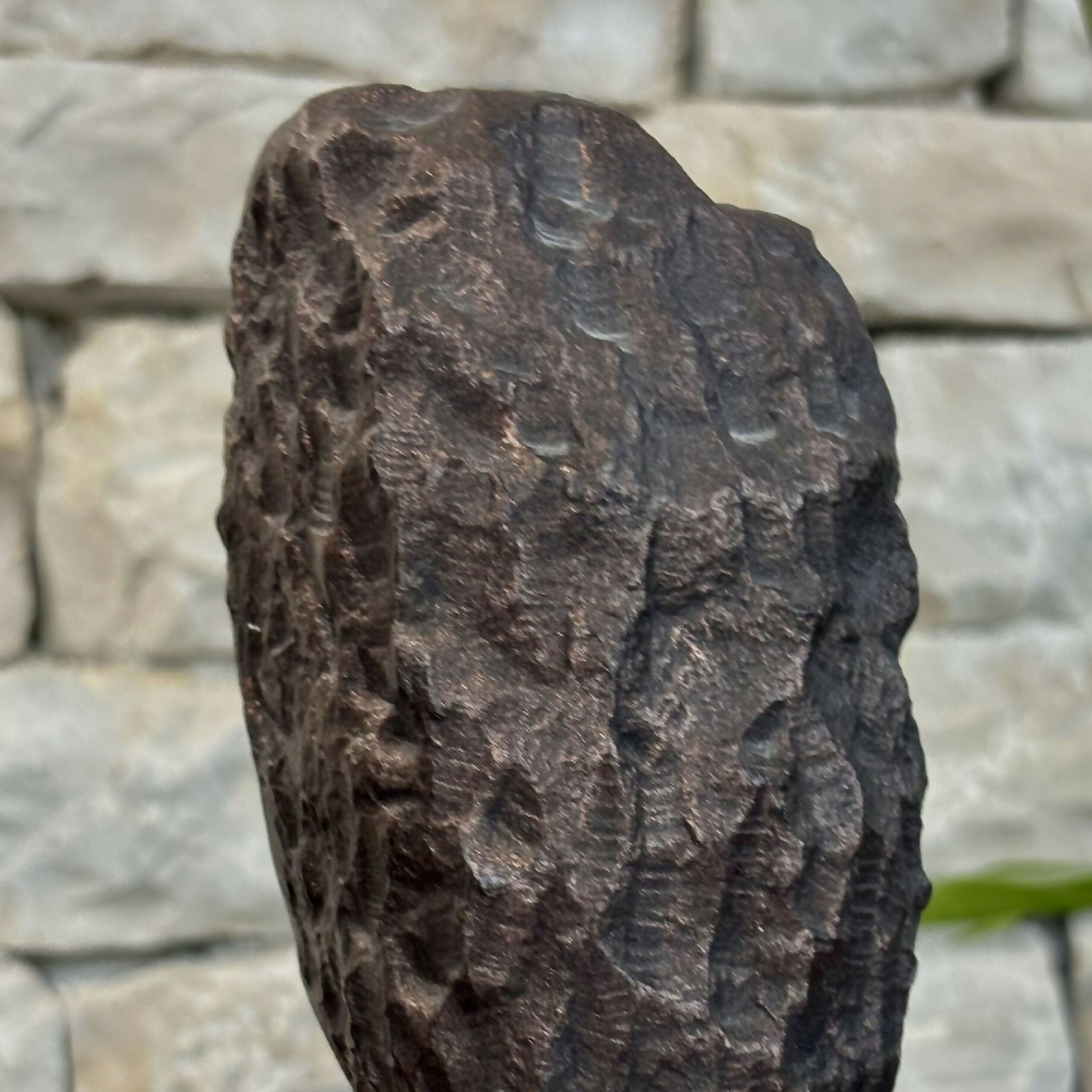 BGUIfYnDpD | EMPREINTES Paris