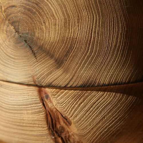 Pot en orme - Collection bois vert | EMPREINTES Paris - EMPREINTES Paris