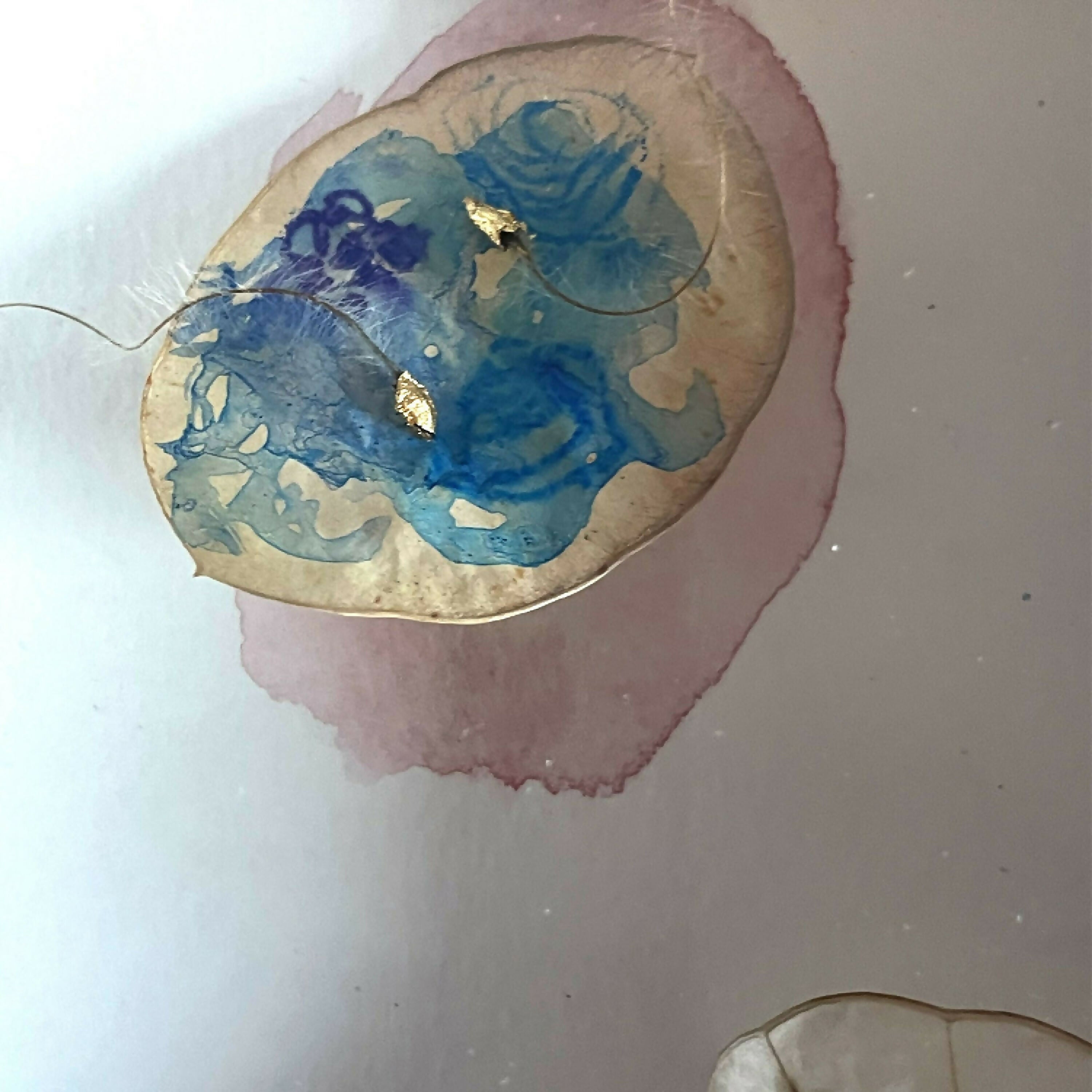 composition_carre_6_creaturquoise | EMPREINTES Paris