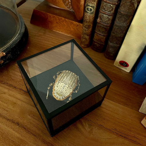 broche_2en1_scarabee_or_agathe_you1 copie | EMPREINTES Paris - EMPREINTES Paris