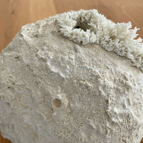 Sculpture Palingensia | EMPREINTES Paris - EMPREINTES Paris