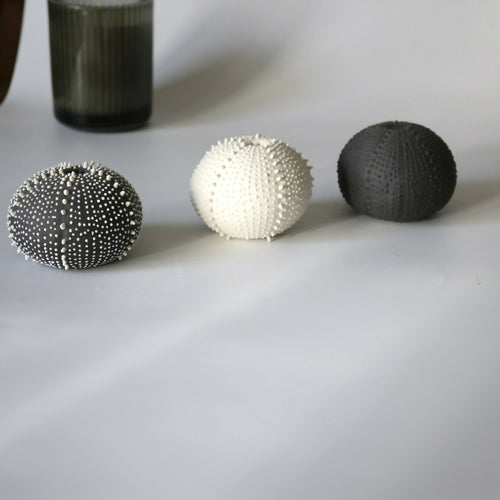 saliere_porcelaine_noire_oursin_cglabsete copie | EMPREINTES Paris - EMPREINTES Paris