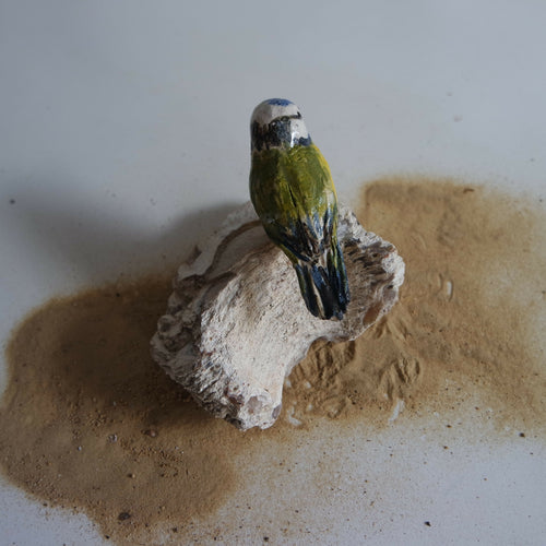 Sculpture Mésange bleue sur pierre fossile | EMPREINTES Paris - EMPREINTES Paris